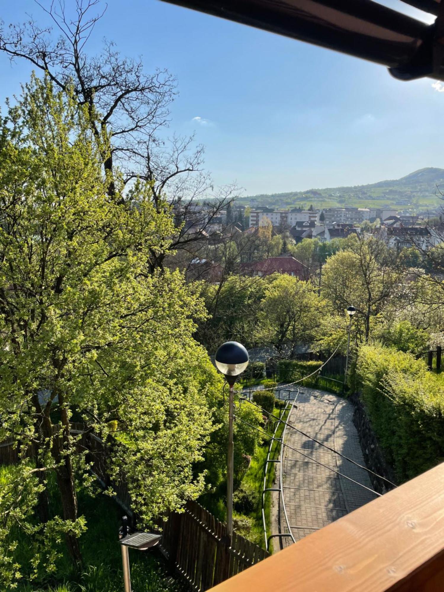 Hotel Casa Milla Sovata Zewnętrze zdjęcie